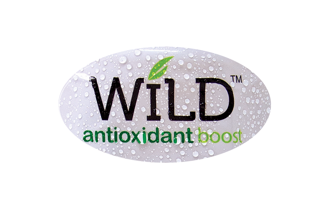 Wild Black Ice Tea Lemon & Ginseng   Plastic Bottle  300 millilitre
